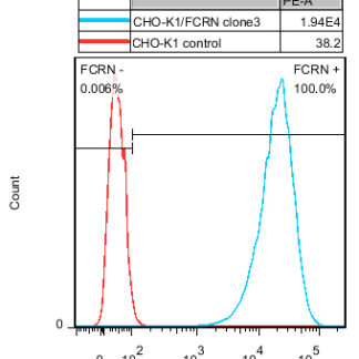 FcRn CHO-K1 cell line