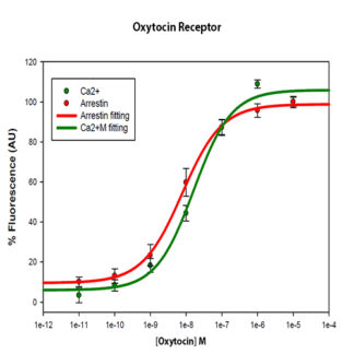 Oxytocin receptor cell line