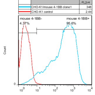 4-1BB CHO-K1 cells - M00568