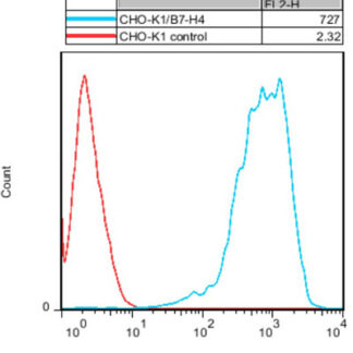 B7-H4 CHO-K1 cells - M00537