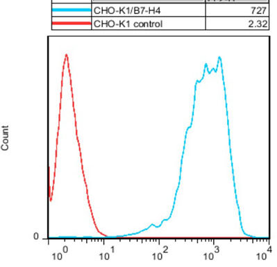 CHO-K1/ B7-H4 Stable Cell Line