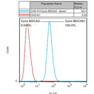 BDCA2 CHO-K1 cells - M00596