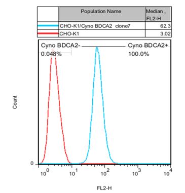 CHO-K1/ Cyno BDCA2 Stable Cell Line