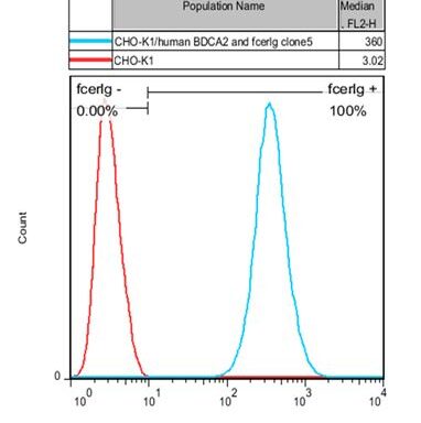 CHO-K1/ BDCA2 and FcER1G Stable Cell Line