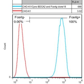 BDCA2 FcER1G CHO-K1 cells - M00594