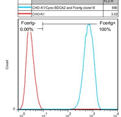 CHO-K1/ Cyno BDCA2 and FcER1G Stable Cell Line