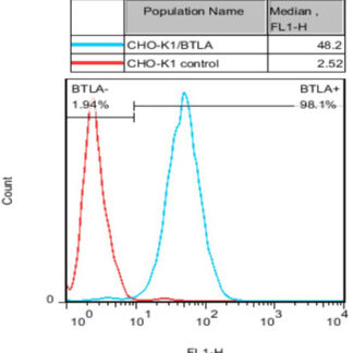 BTLA CHO-K1 cells - M00534