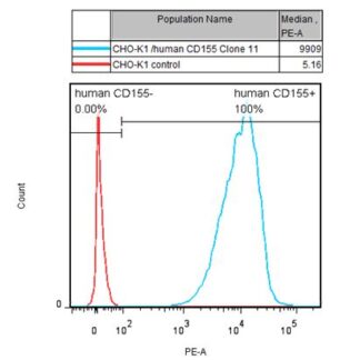 CD155 CHO-K1 cells - M00591