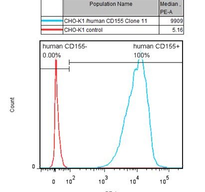 CHO-K1/ CD155 Stable Cell Line