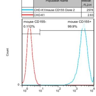 CD155 CHO-K1 cells - M00642