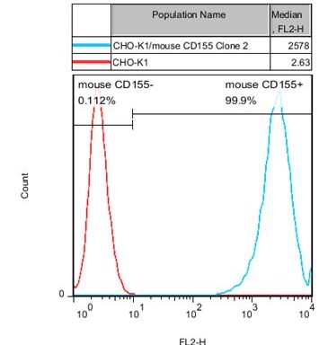 CHO-K1/ Mouse CD155 Stable Cell Line