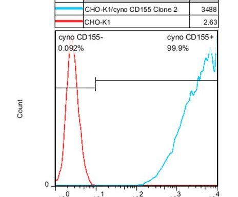 CHO-K1/ Cyno CD155 Stable Cell Line