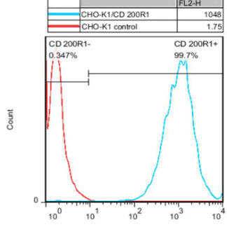 CD200 R1 CHO-K1 cells - M00541