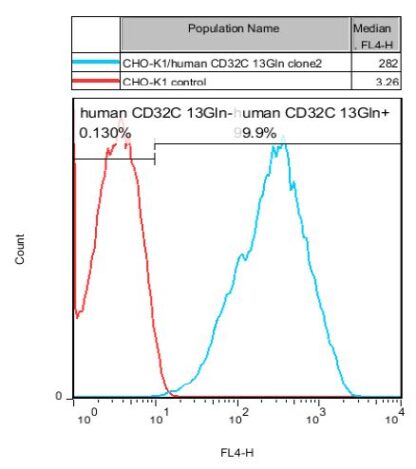 CD32C 13Gln CHO-K1 cells - M00601