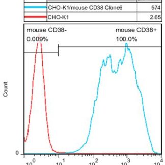 CD38 CHO-K1 cells - M00636