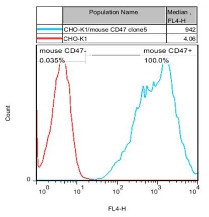 CD47 CHO-K1 cells - M00631
