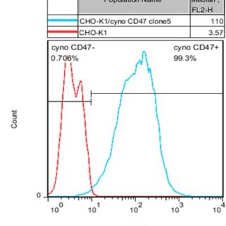 CD47 CHO-K1 cells - M00632