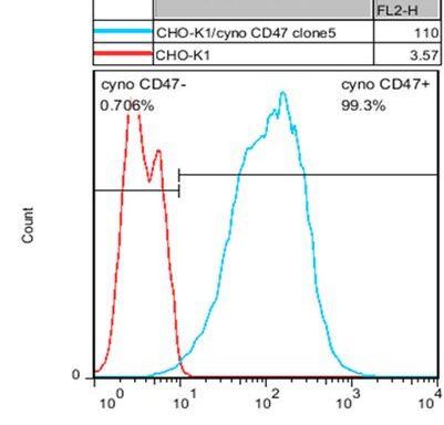 CHO-K1/ Cyno CD47 Stable Cell Line