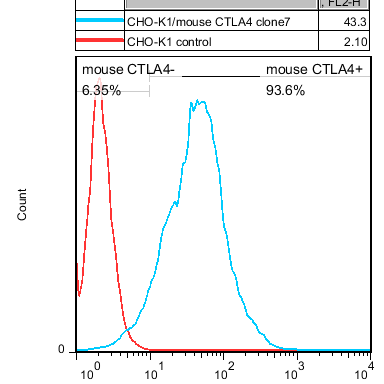 CHO-K1/ Mouse CTLA4 Stable Cell Line