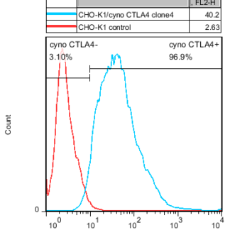 CTLA4 CHO-K1 cells - M00571