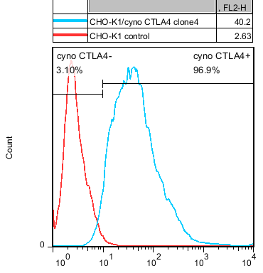 CHO-K1/ Cyno CTLA4 Stable Cell Line