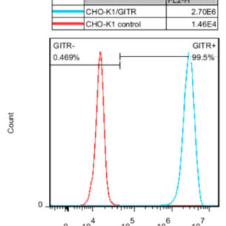 GITR CHO-K1 cells - M00539
