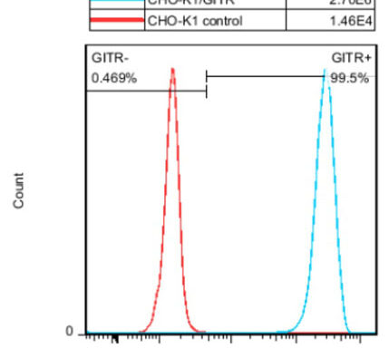 CHO-K1/ GITR Stable Cell Line