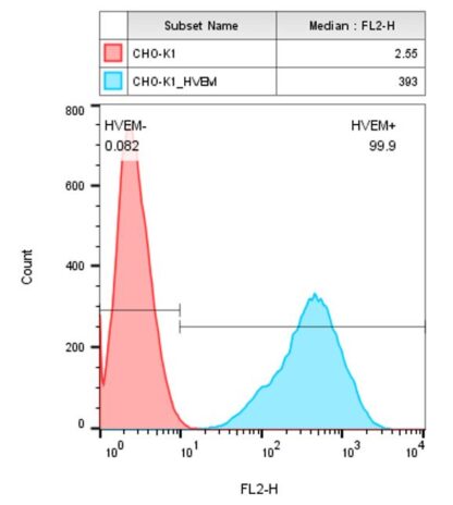 HVEM CHO-K1 cells - M00646