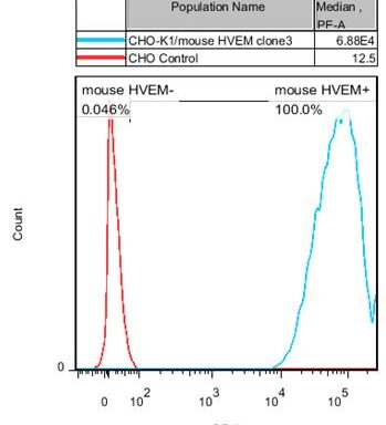 CHO-K1/ Mouse HVEM Stable Cell Line