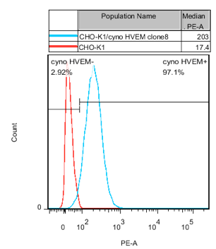 CHO-K1/ Cyno HVEM Stable Cell Line