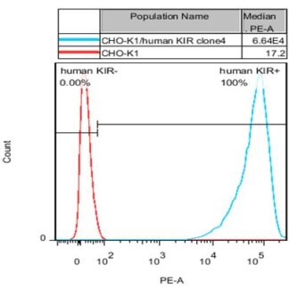 KIR CHO-K1 cells - M00650