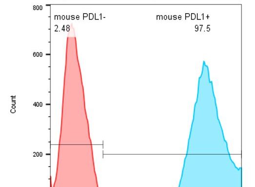CHO-K1/ Mouse PD-L1 Stable Cell Line