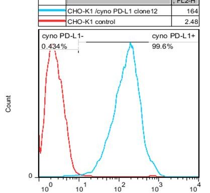 CHO-K1/ Cyno PD-L1 Stable Cell Line
