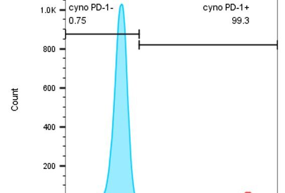 CHO-K1/ Cyno PD-1 Stable Cell Line