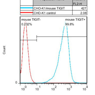 TIGIT CHO-K1 cells - M00585
