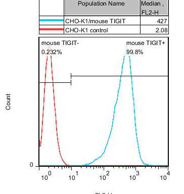 CHO-K1/ Mouse TIGIT Stable Cell Line