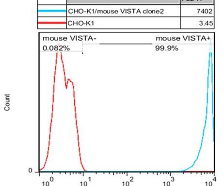 CHO-K1/ Mouse VISTA Stable Cell Line